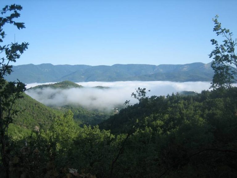 Le massif de l'Aigoual au-*dessus des nuages