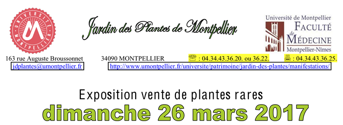 Salon primavera affiche