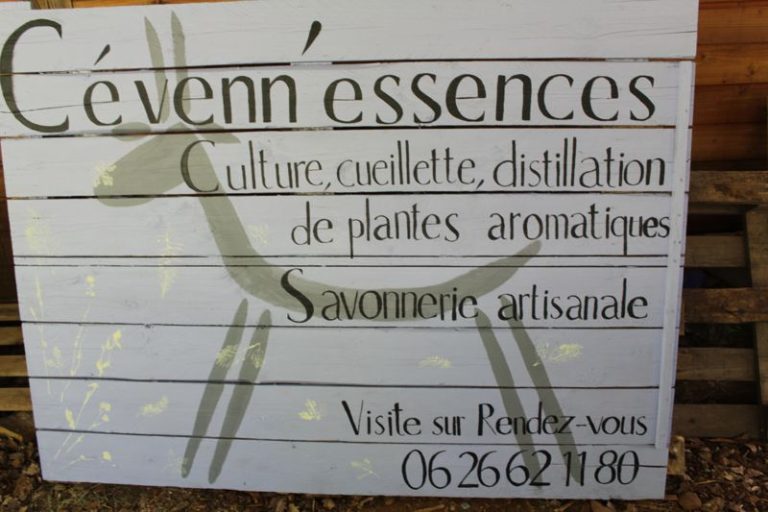 Visites de la ferme été 2022