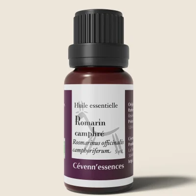 Huile essentielle de romarin camphré