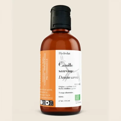 Hydrolat de carotte sauvage