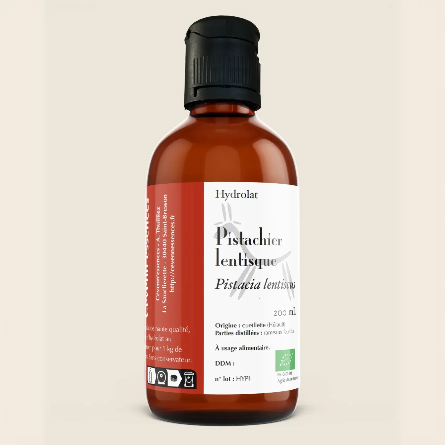 Hydrolat de pistachier lentisque